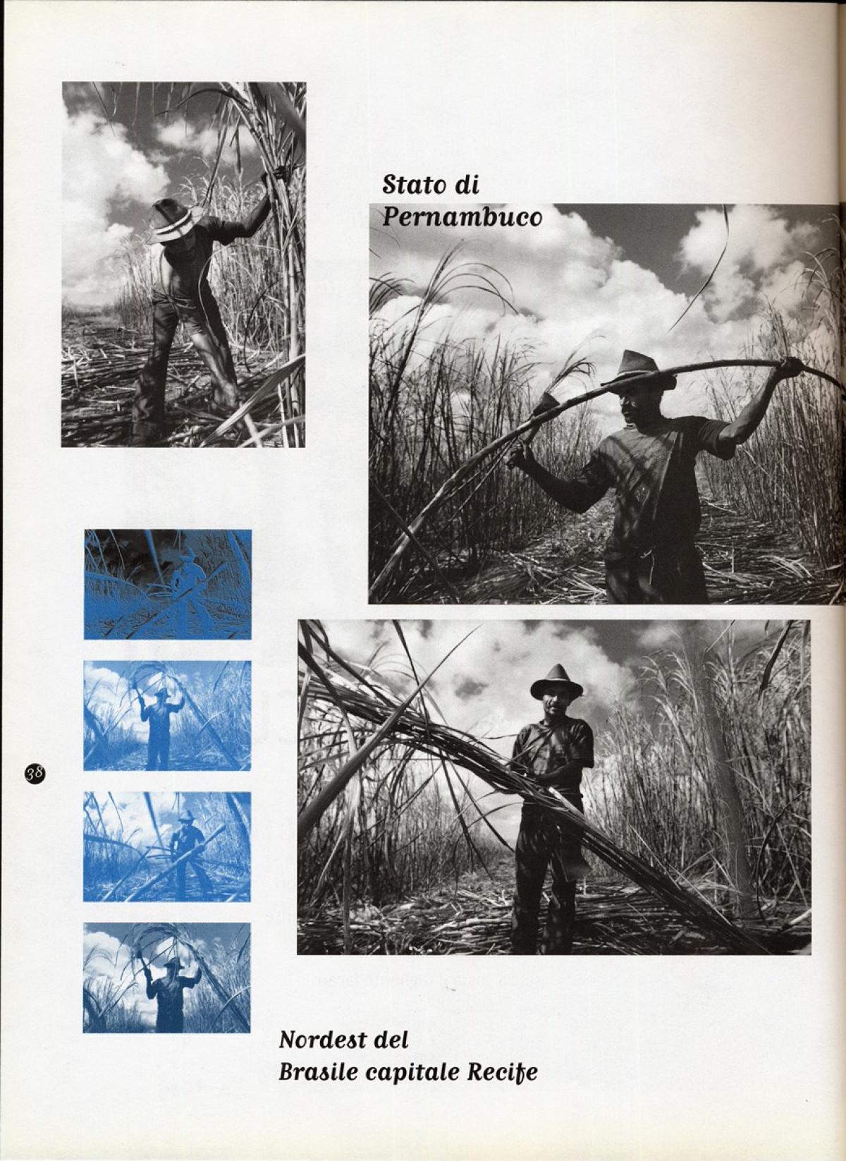 1997 - Sugarcane cutters - Linea d'ombra