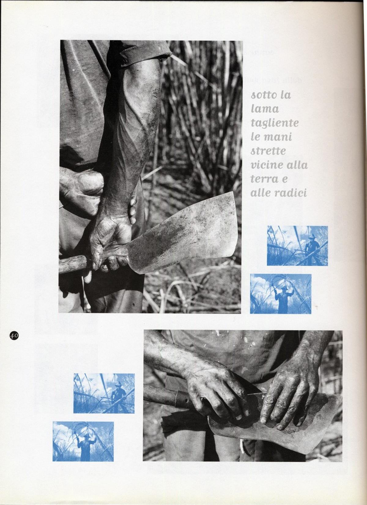 1997 - Sugarcane cutters - Linea d'ombra
